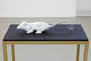 Jarvakandi aerial view